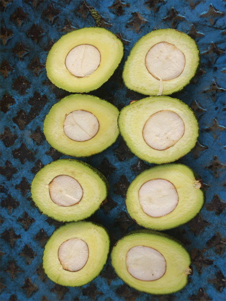 Avocados Photo 13