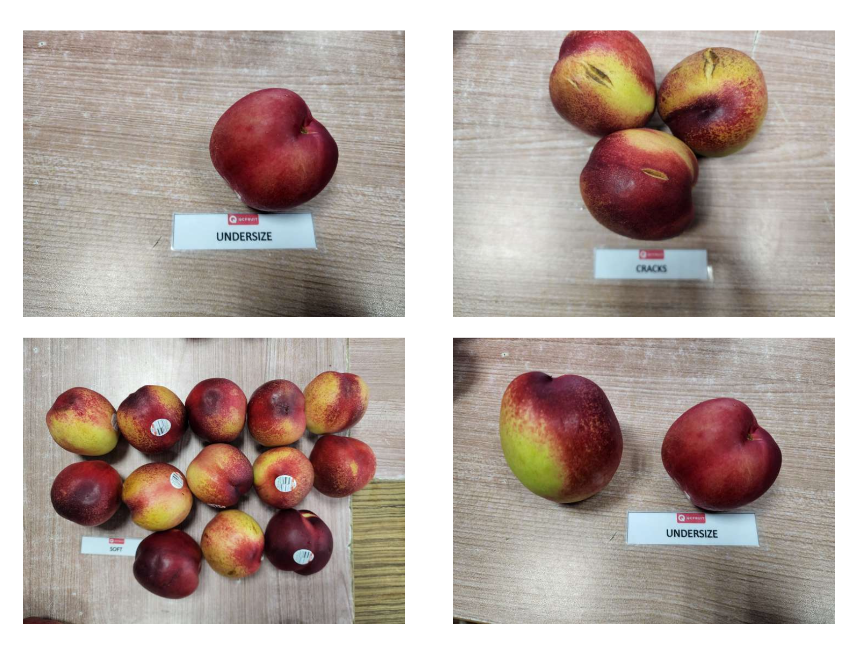 Nectarines Photo 14