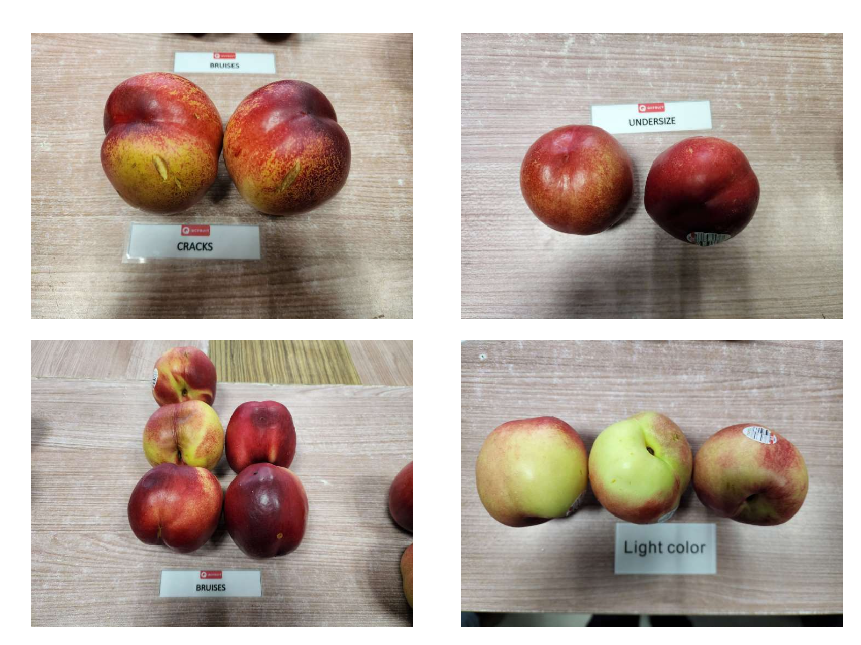 Nectarines Photo 4