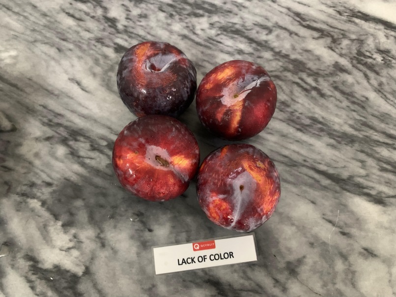 Plums Photo 9
